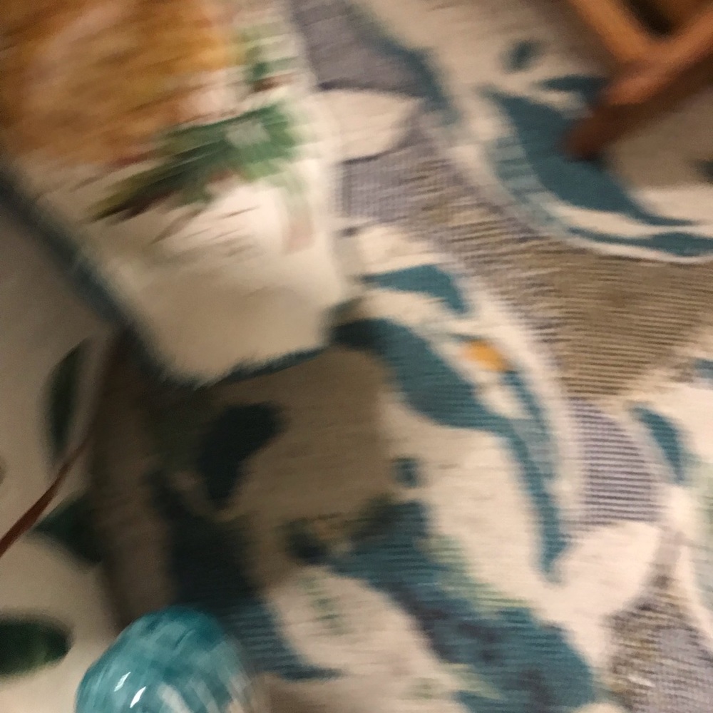 Hand painted dish - Picture 7 of 15